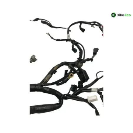 Faisceau electrique KAWASAKI Z 650 2020-2024