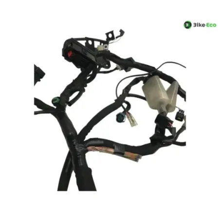 Faisceau electrique KAWASAKI Z 650 2020-2024