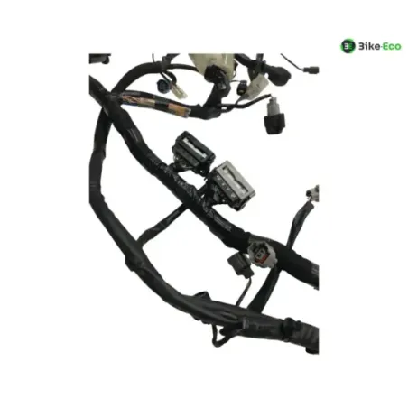 Faisceau electrique KAWASAKI Z 650 2020-2024