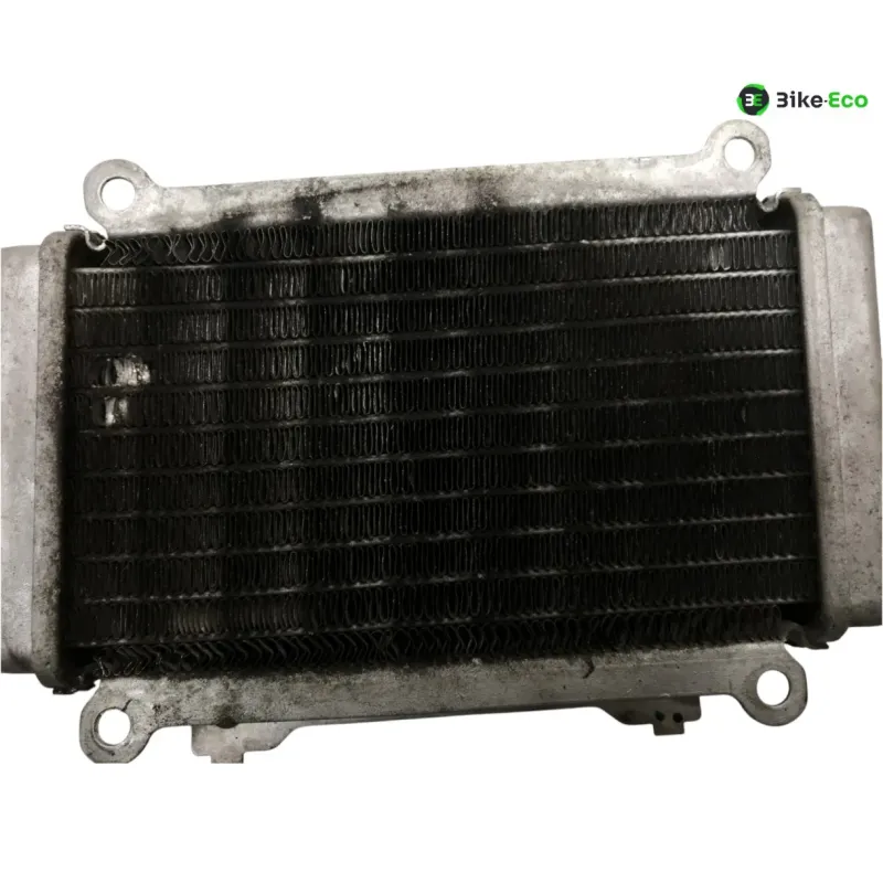 Radiateur eau PIAGGIO VESPA GTS 300 2010-2013 IE