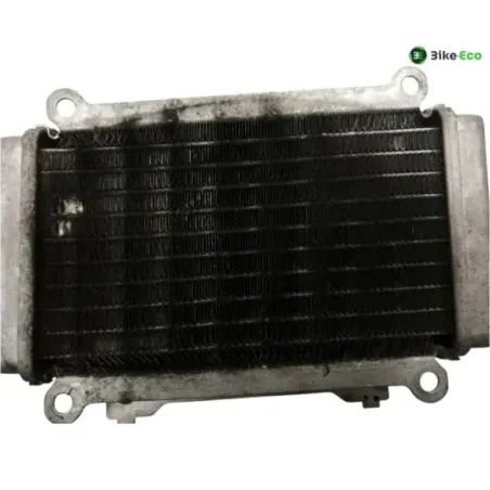 Radiateur eau PIAGGIO VESPA GTS 300 2010-2013 IE