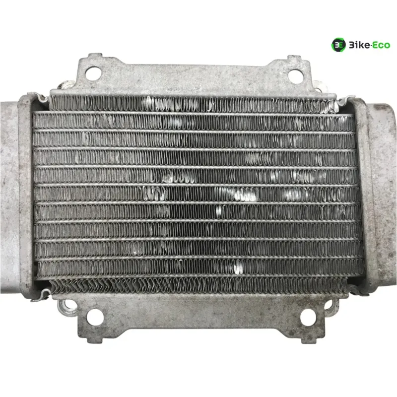 Radiateur eau PIAGGIO VESPA GTS 300 2010-2013 IE