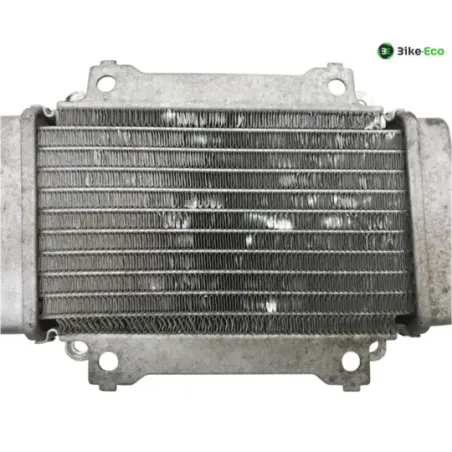 Radiateur eau PIAGGIO VESPA GTS 300 2010-2013 IE
