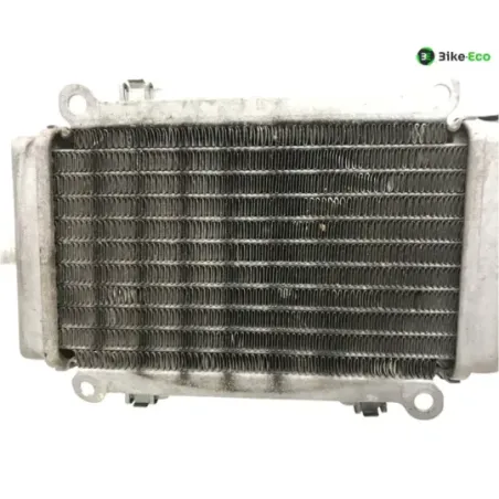 Radiateur eau PIAGGIO VESPA GTS 300 2010-2013 IE