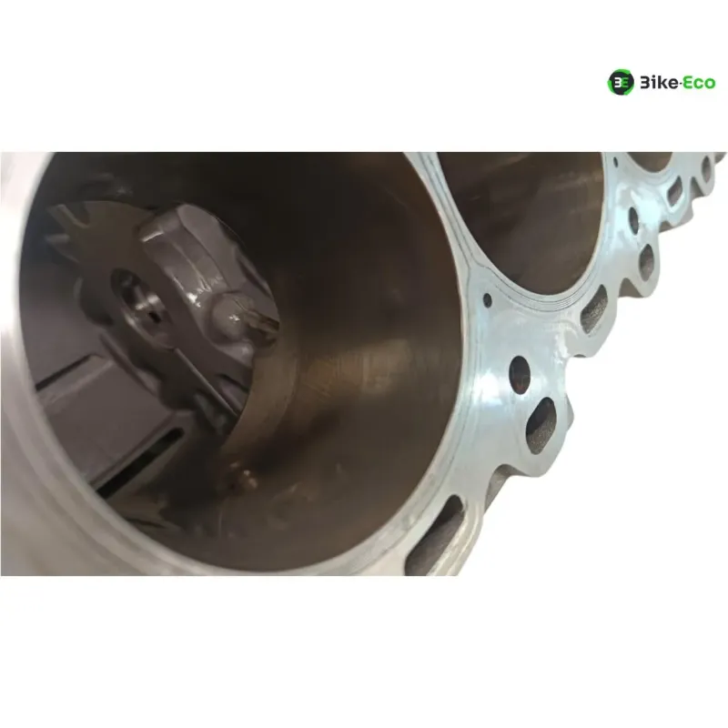 Carter moteur BMW S 1000 RR 2019-2024