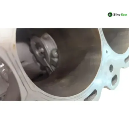 Carter moteur BMW S 1000 RR 2019-2024