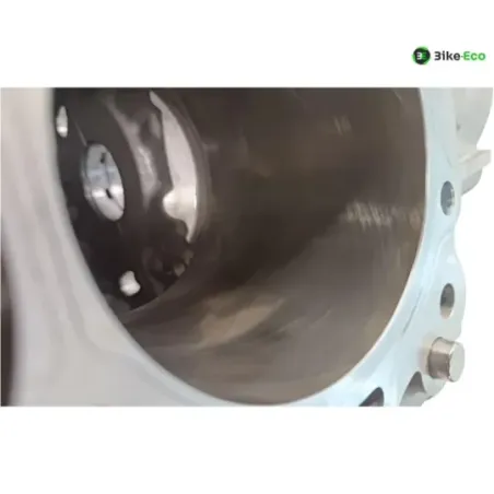 Carter moteur BMW S 1000 RR 2019-2024