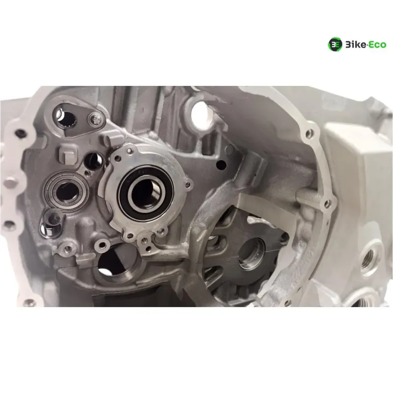 Carter moteur BMW S 1000 RR 2019-2024
