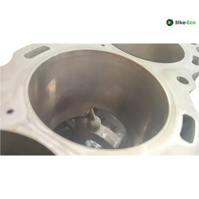 Carter moteur BMW S 1000 RR 2019-2024