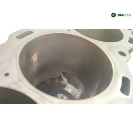Carter moteur BMW S 1000 RR 2019-2024