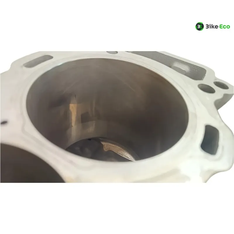 Carter moteur BMW S 1000 RR 2019-2024