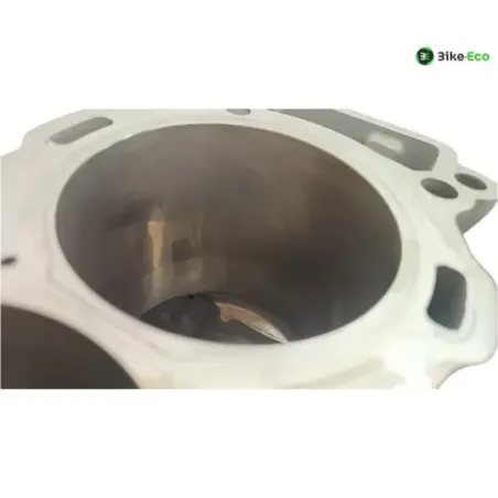 Carter moteur BMW S 1000 RR 2019-2024