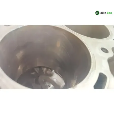 Carter moteur BMW S 1000 RR 2019-2024