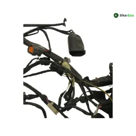 Faisceau electrique KAWASAKI Z 750 2007-2010