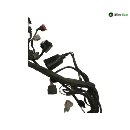 Faisceau electrique KAWASAKI Z 750 2007-2010
