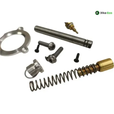 Sonde de temperature BMW M 1000 RR 2021-2022
