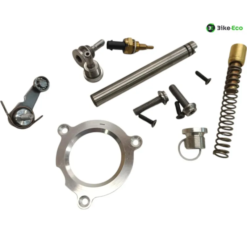 Sonde de temperature BMW M 1000 RR 2021-2022