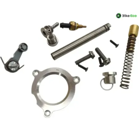 Sonde de temperature BMW M 1000 RR 2021-2022