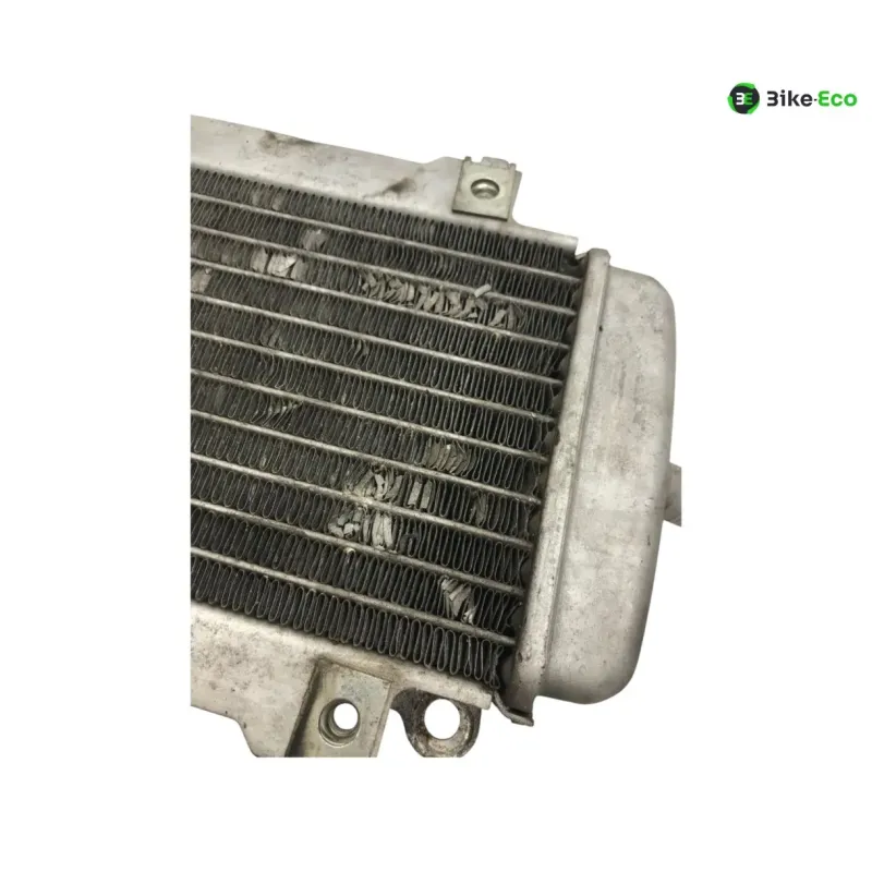 Radiateur eau PIAGGIO VESPA GTS 300 2010-2013 IE
