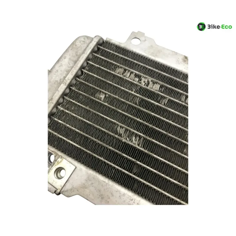 Radiateur eau PIAGGIO VESPA GTS 300 2010-2013 IE