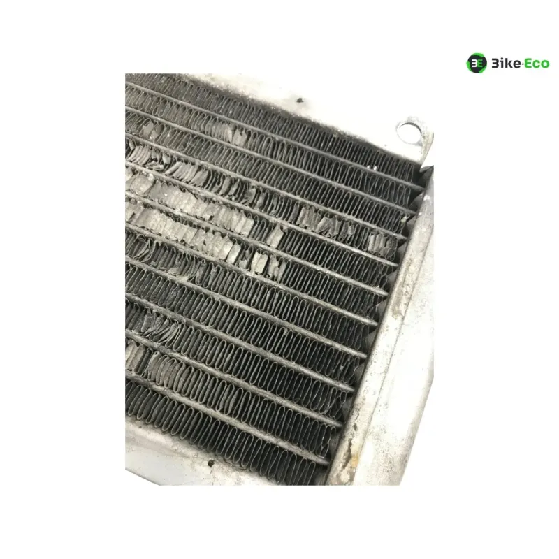 Radiateur eau PIAGGIO VESPA GTS 300 2010-2013 IE