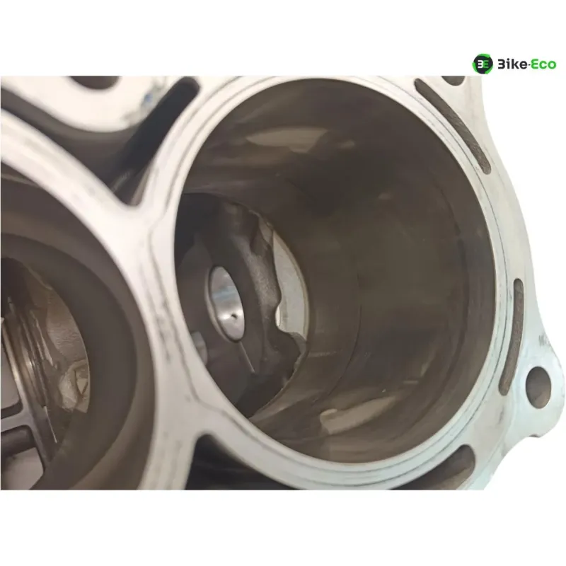 Carter moteur BMW S 1000 R 2014-2016 K47