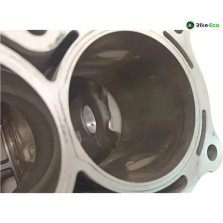 Carter moteur BMW S 1000 R 2014-2016 K47