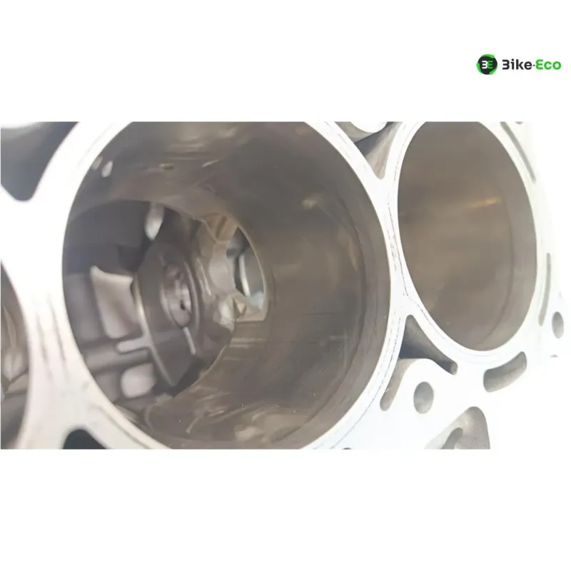 Carter moteur BMW S 1000 R 2014-2016 K47