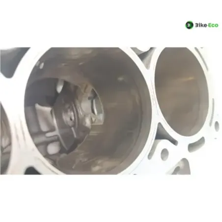 Carter moteur BMW S 1000 R 2014-2016 K47