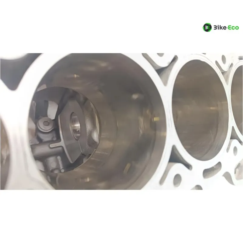 Carter moteur BMW S 1000 R 2014-2016 K47