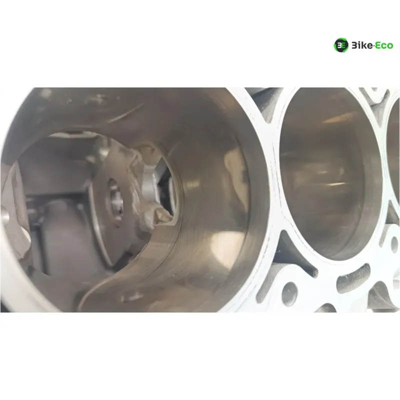 Carter moteur BMW S 1000 R 2014-2016 K47