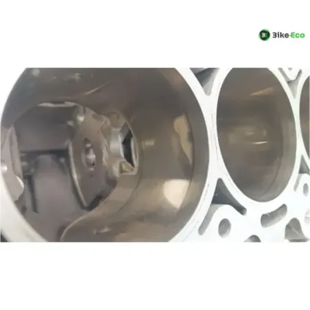 Carter moteur BMW S 1000 R 2014-2016 K47