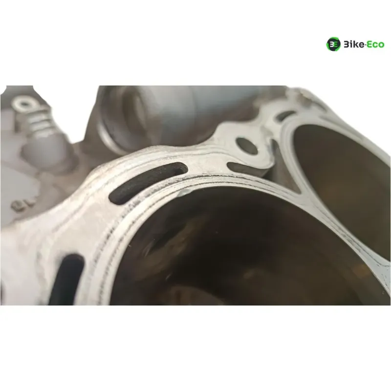Carter moteur BMW S 1000 R 2014-2016 K47