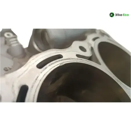 Carter moteur BMW S 1000 R 2014-2016 K47