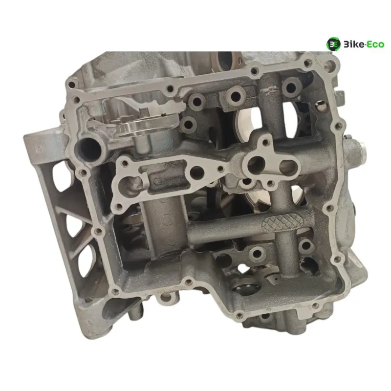 Carter moteur BMW S 1000 R 2014-2016 K47