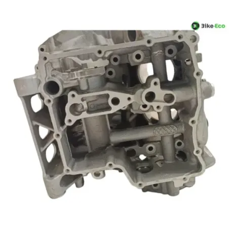 Carter moteur BMW S 1000 R 2014-2016 K47