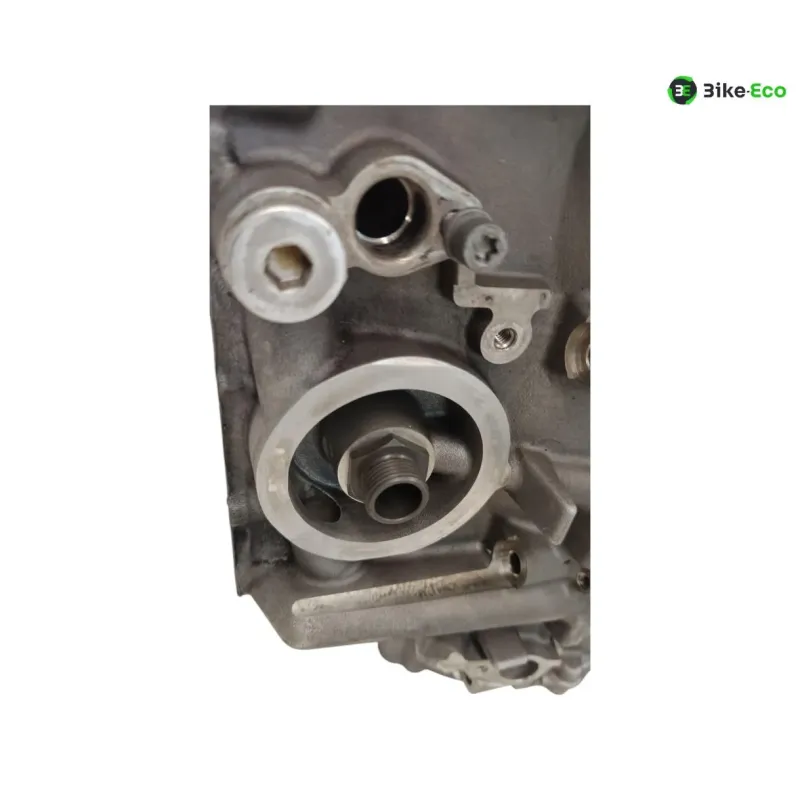 Carter moteur BMW S 1000 R 2014-2016 K47