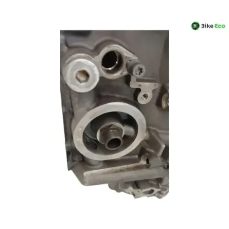 Carter moteur BMW S 1000 R 2014-2016 K47