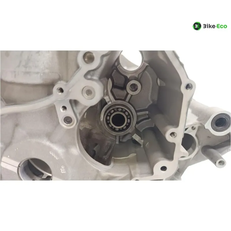 Carter moteur BMW S 1000 R 2014-2016 K47