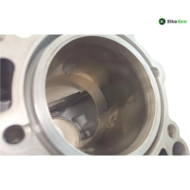 Carter moteur BMW R 1250 GS 2018-2023