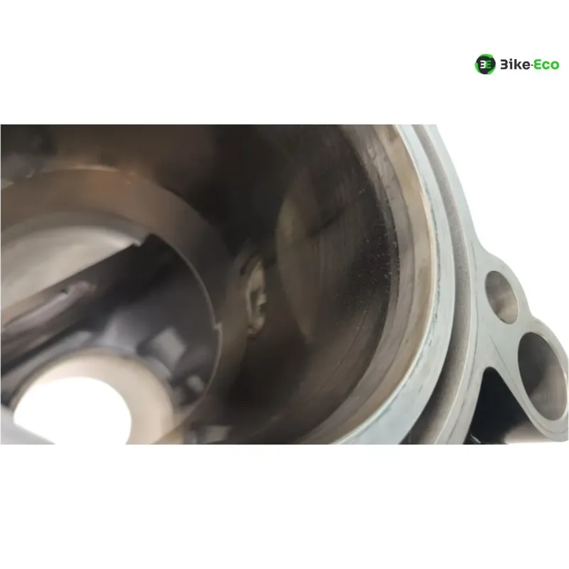 Carter moteur BMW R 1250 GS 2018-2023
