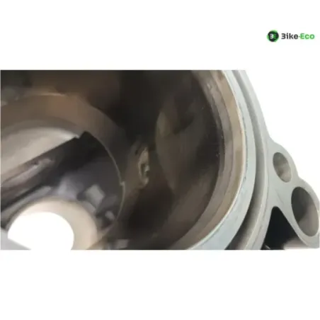 Carter moteur BMW R 1250 GS 2018-2023