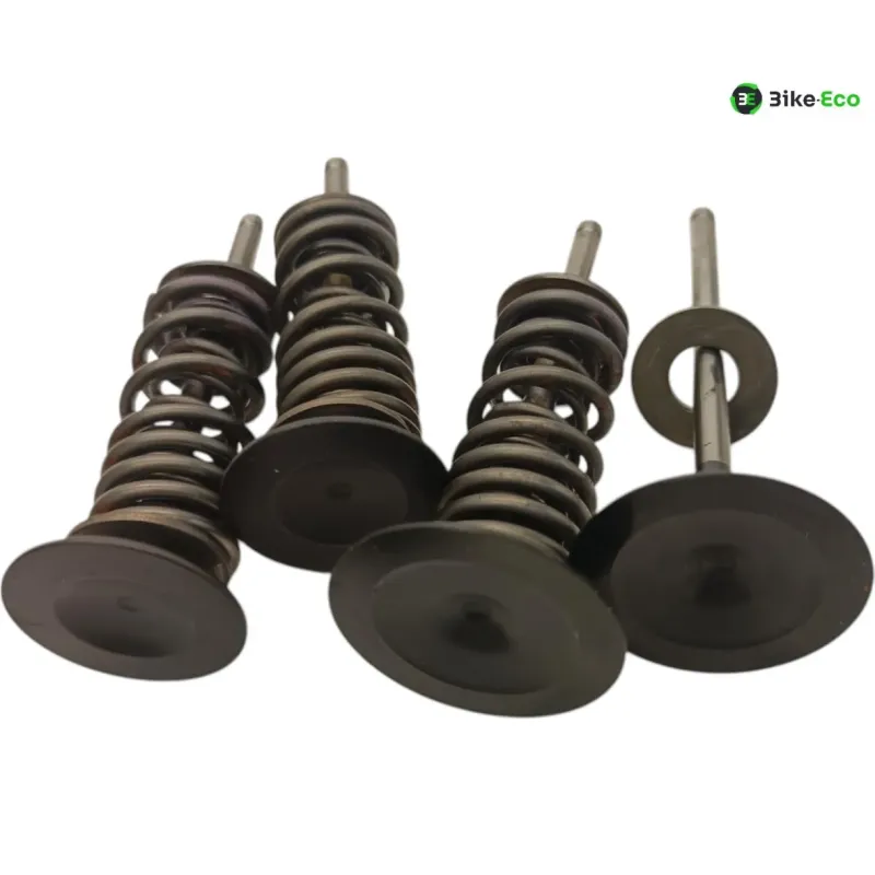 Soupapes BMW R 1250 GS 2018-2023