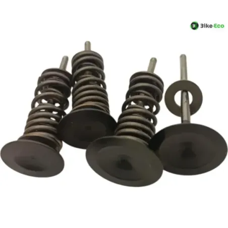 Soupapes BMW R 1250 GS 2018-2023