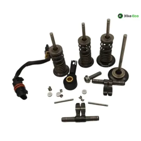 Soupapes BMW R 1250 GS 2018-2023