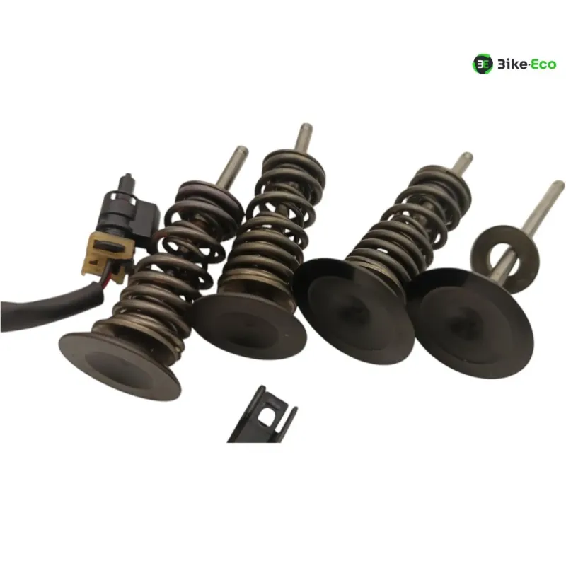 Soupapes BMW R 1250 GS 2018-2023