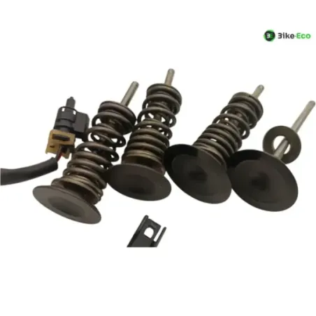 Soupapes BMW R 1250 GS 2018-2023