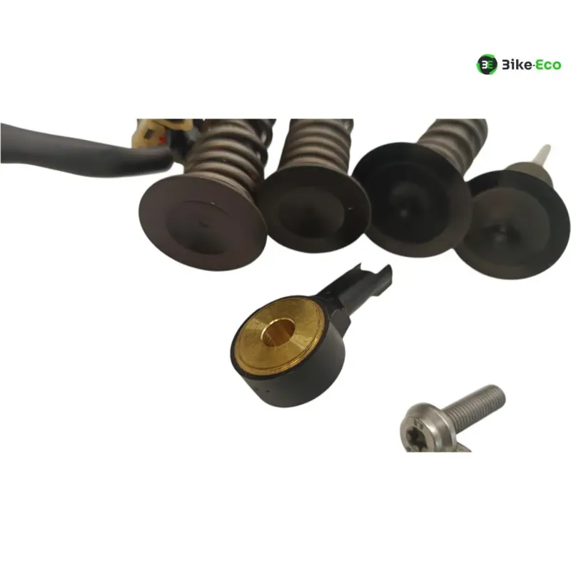 Soupapes BMW R 1250 GS 2018-2023