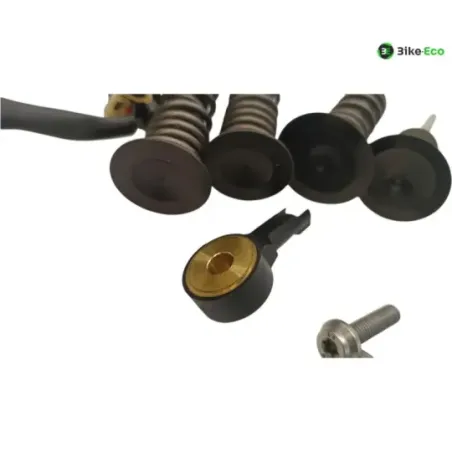 Soupapes BMW R 1250 GS 2018-2023