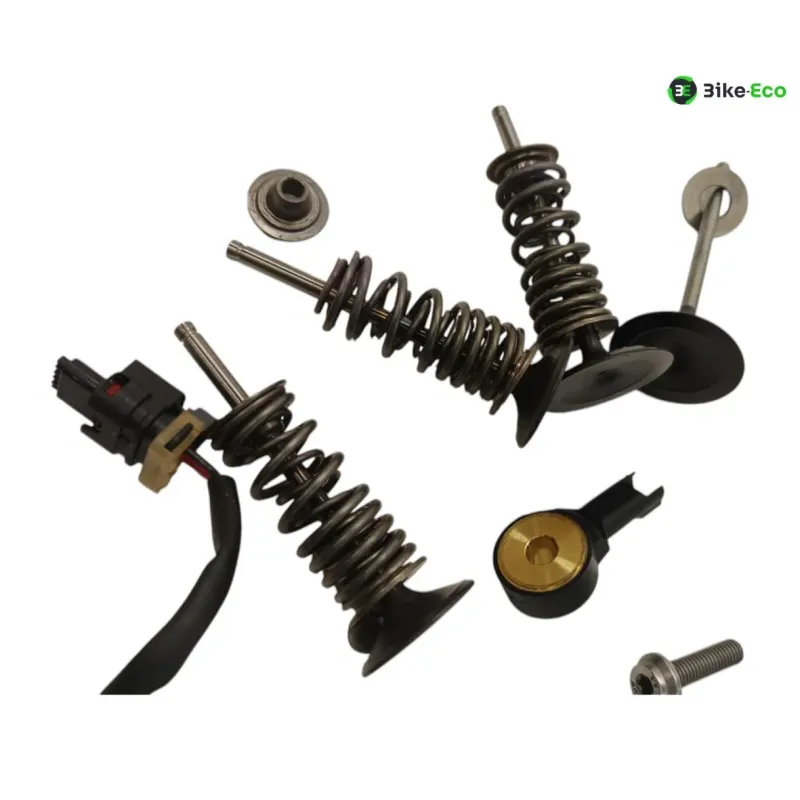Soupapes BMW R 1250 GS 2018-2023